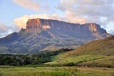 Table mountain, grassland and forest.