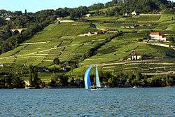 Vineyard terraces rise above Lake Geneva