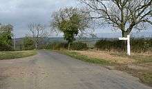Road through open countryside with hedgerows and mature trees