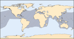 A map of the range of a loggerhead sea turtle covering the Atlantic, Pacific, and Indian Oceans, and the Mediterranean Sea
