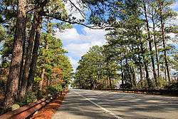 Part of the Lost Pines Forest along State Highway 21 near Bastrop