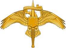 Image of Marine Special Operator Insignia