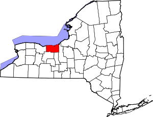 Map of New York highlighting Wayne County