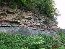 An outcrop of Clinton Group Strata exposed at Seth Greene Drive in Rochester New York. Pictured is the Reynalis Limestone overlying the Maplewood Shale. The prominent bright red band is the Furnaceville (Ironstone) Member of the Reynalis.