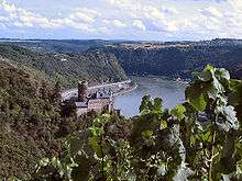A river winds between high cliffs and hills, with a castle in the midground.