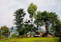 "Shangnyu Village, Mon district, Nagaland"