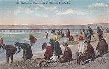 Tourists dressed in 1910 attire picking up moonstones on beach