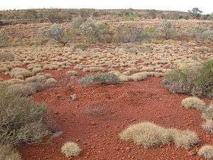 Low vegetation on orange soil, with a mound of pebbles in the centre.
