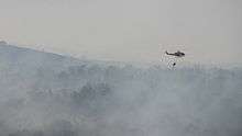 Cypriot Police Bell 412EP participating in fire fighting efforts in Israel, during the 2010 Mount Carmel forest fire