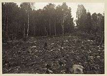 Photo of deforested land
