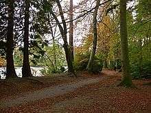 A woodland track leads through tall trees, some with the grown and gold leaves of autumn. There is an orange leaf litter on the ground. A body of water is visible through the trees to the left.