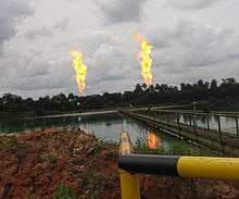 Gas flares in the Niger delta.