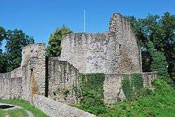 The ruins of Nippenburg Castle during the day, 2010