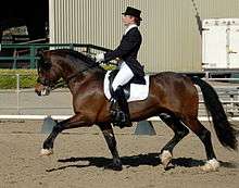 A reddish-brown horse at a trot, facing left, ridden by a woman in a black top hat, black tail coat, white breeches and tall black boots