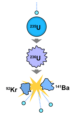 A diagram showing a chain transformation of uranium-235 to uranium-236 to barium-141 and krypton-92