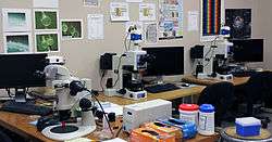 photo of microscopes in laboratory