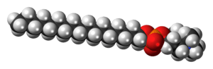 Space-filling model of the perifosine zwitterion