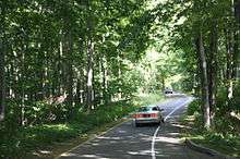 Photograph of the Pierce Stocking Scenic Drive showing a
