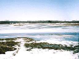 View of Poplar River during ice melt.
