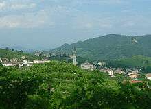 A photograph of vineyards with a small town in the background.