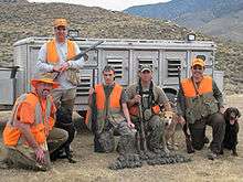 Upland Game hunting for quail in California.