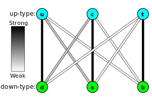 Three balls "u", "c", and "t" noted "up-type quarks" stand above three balls "d", "s", "b" noted "down-type quark". The "u", "c", and "t" balls are vertically aligned with the "d", "s", and b" balls respectively. Colored lines connect the "up-type" and "down-type" quarks, with the darkness of the color indicating the strength of the weak interaction between the two; The lines "d" to "u", "c" to "s", and "t" to "b" are dark; The lines "c" to "d" and "s" to "u" are grayish; and the lines "b" to "u", "b" to "c", "t" to "d", and "t" to "s" are almost white.