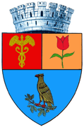 Coat of arms of Pitești