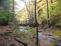  A hiking trail crosses a creek on a horizontal wooden footbridge with handrails. Below the bridge the creek drops out of sight and there is an opening in the trees behind the bridge. It is autumn and leaves of yellow, orange and some green are visible on the trees, rocks and trail.