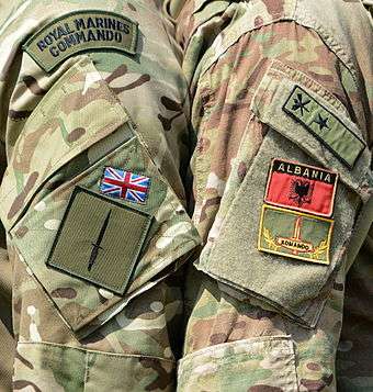 The Commando Flash and dagger worn on the sleeve