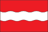 Flag of Ruzhyn Raion