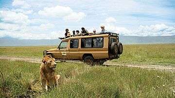 Safari vehicle with tourists observing lion
