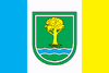 Flag of Savranskyi Raion