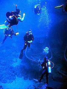 Four divers, equipped with oxygen cylinders, at the see bottom.