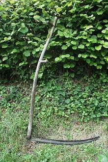 Photograph of a scythe leaned against a hedge