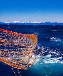 Photo of partially submerged net, with distant snow-covered mountain range below clear sky in background