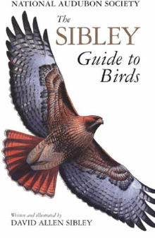 Book cover with color illustration of a Red-tailed Hawk in flight.