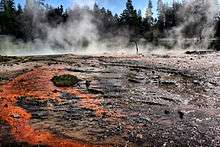 Blackened basin with orange streaks; steam is rising from it with fir trees in the background.