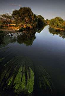 Sitnica River