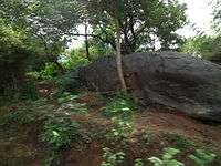 Snap from Bannerghatta National Park Bangalore 8422.JPG