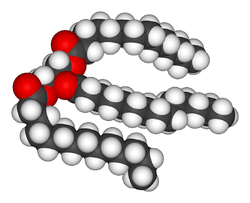 A space-filling model of an unsaturated triglyceride.