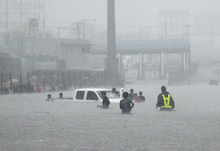 People wading through waist- to chest-deep water towards a pickup truck