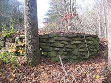 A rough stone wall, made of several courses of flat stones in concrete, in an overgrown area with a tree trunk