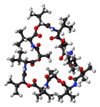 Ball-and-stick model of the valinomycin molecule