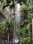 A picture of a waterfall obstructed by a couple of palm trees.