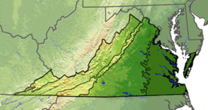 Terrain map of Virginia divided with lines into five regions. The first region on the far left is small and only in the state's panhandle. The next is larger and covers most of the western part of the state. The next is a thin strip that covers only the mountains. The next is a wide area in the middle of the state. The left most is based on the rivers which diffuse the previous region.