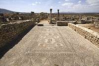 View of a mosaic in situ in a house in Volubilis