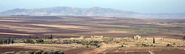 Panoramic view of Volubilis from the east.
