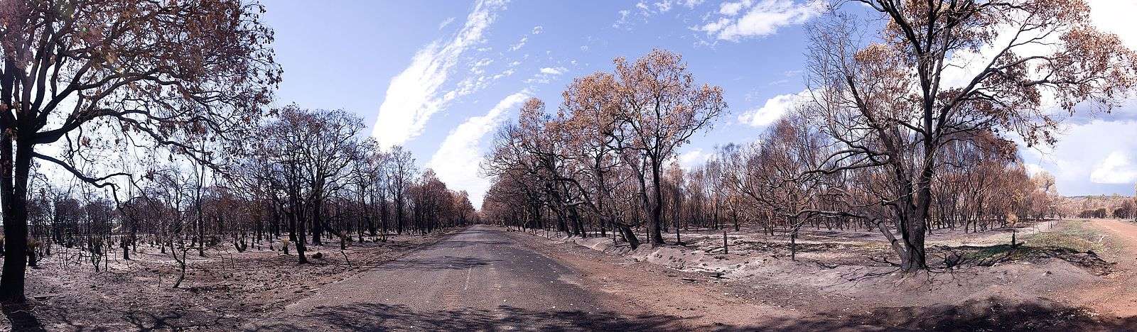 a central road leading nto the distance with blackened remains of bush land following a fire
