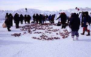 A group of people in winter clothing, standing around piles of meat lying on the snow.