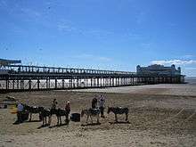 Long walkway supported by metal legs arising from the sand, leading to a white painted building. In the foreground are donkeys on sand.